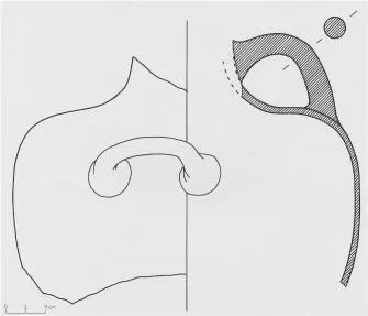 HYDRIA, FRAGMENT (ATHENIAN, RED-FIGURE)