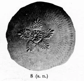BOWL (SOUTH ITALIAN, CAMPANIAN, BLACK GLAZE)