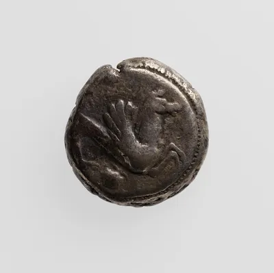 Stater