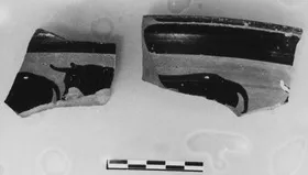LEKANIS, FRAGMENTS (ATHENIAN, BLACK-FIGURE)