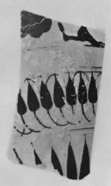 AMPHORA, BELLY, FRAGMENT (ATHENIAN, BLACK-FIGURE)