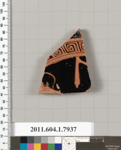 Terracotta fragment of a kylix (drinking cup)