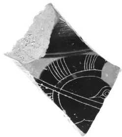 AMPHORA, BELLY, FRAGMENT (ATHENIAN, BLACK-FIGURE)