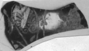 CUP, FRAGMENT (ATHENIAN, RED-FIGURE)
