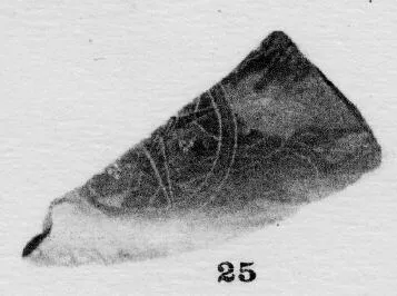 PLATE, FRAGMENT (ATHENIAN, BLACK-FIGURE)
