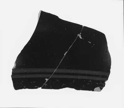 Attic Black-Figure Amphora Fragment