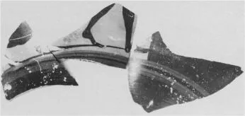 AMPHORA, NECK, FRAGMENTS (ATHENIAN, BLACK-FIGURE)