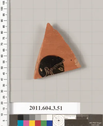Terracotta fragment of an amphora (jar)