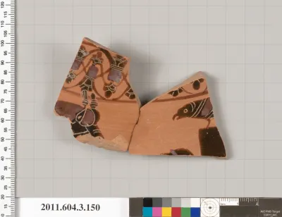 Terracotta fragment of an amphora (jar)