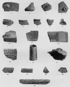 VARIOUS (VUCEDOL)