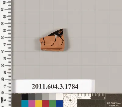 Terracotta fragment of a kylix: Lip cup (drinking cup)