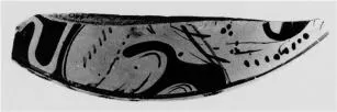 LEKANIS, FRAGMENT (ATHENIAN, RED-FIGURE)