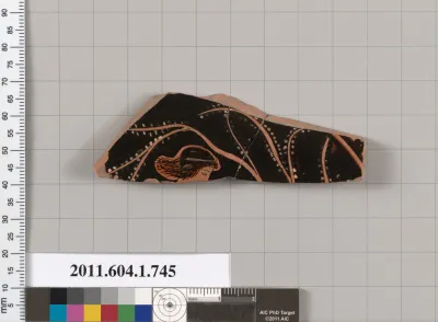 Terracotta fragment of a kylix (drinking cup)