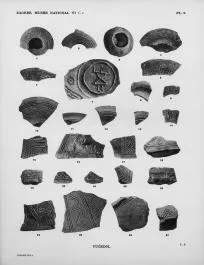 VARIOUS (VUCEDOL)