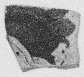 CUP, FRAGMENT (ATHENIAN, RED-FIGURE)