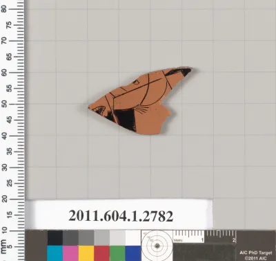 Terracotta fragment of a kylix (drinking cup)