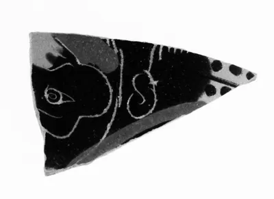 Attic Black-Figure Skyphos Fragment