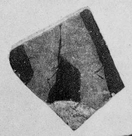 CUP, FRAGMENTS (ATHENIAN, RED-FIGURE)