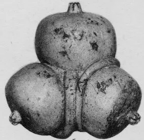 FIGURE VASE (CORINTHIAN)