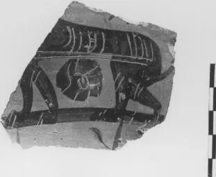 FRAGMENT (ATHENIAN, BLACK-FIGURE)