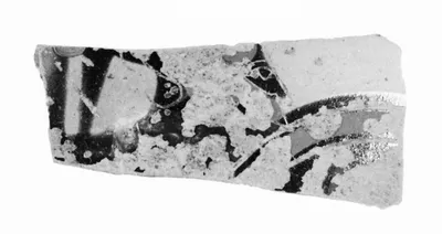 Attic Black-Figure Skyphos Fragment