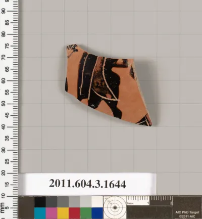 Terracotta fragment of a kylix: Band cup (drinking cup)