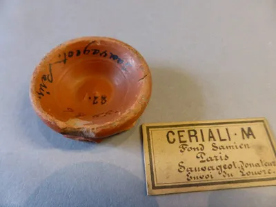 vase ; fragment