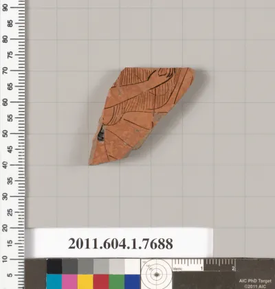 Terracotta fragment of a kylix (drinking cup)