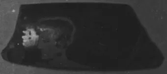 CUP, FRAGMENT (ATHENIAN, RED-FIGURE)