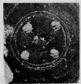 CUP, STEMLESS, FRAGMENT (SOUTH ITALIAN, CAMPANIAN, RELIEF)