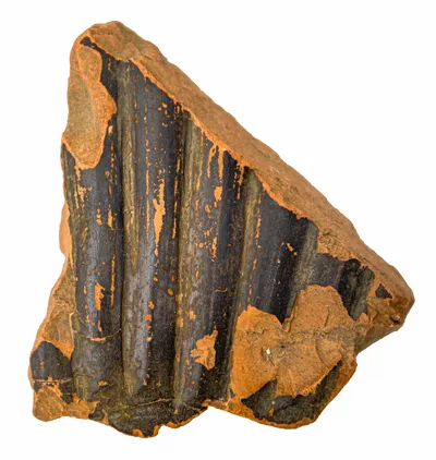 Volute-krater fragment