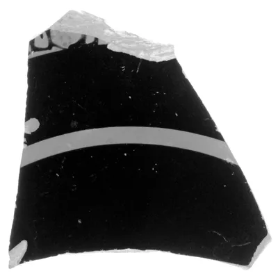 Attic Black-Figure Band Cup Fragment