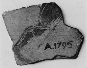 KRATER (?), FRAGMENT (EAST GREEK, BLACK-FIGURE)