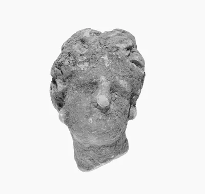 Head with Melon Coiffure