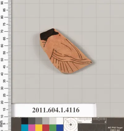 Terracotta fragment of a kylix (drinking cup)