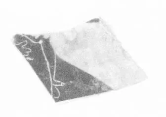 PSEUDO-PANATHENAIC AMPHORA, FRAGMENT (ATHENIAN, BLACK-FIGURE)