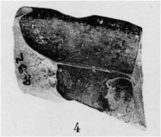 CUP, FRAGMENTS (ATHENIAN, RED-FIGURE)