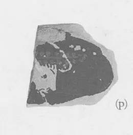 CUP, FRAGMENT (ATHENIAN, RED-FIGURE)