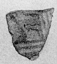 KRATER, FRAGMENT (PROTOATTIC)