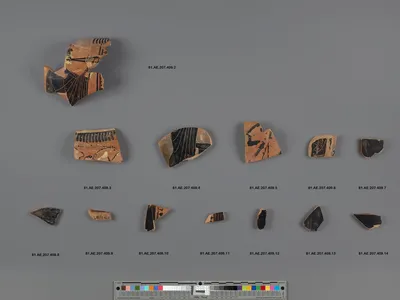 Attic Black-Figure Column Krater Fragment