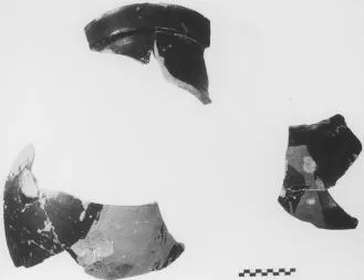 AMPHORA, BELLY, FRAGMENTS (ATHENIAN, BLACK-FIGURE)