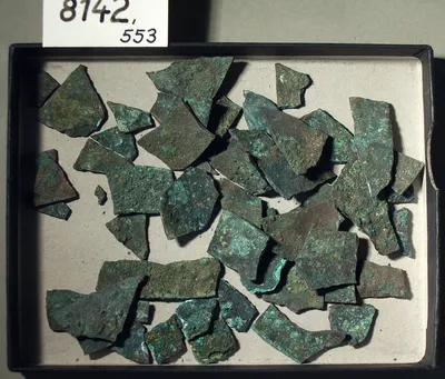 Vier Stücke von der Mündung eines Gefäßes mit umgebogenem Rand