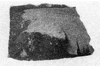 MUG, FRAGMENT (LACONIAN)