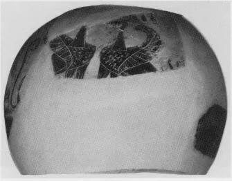 AMPHORA, BELLY (ETRUSCAN, BLACK-FIGURE)