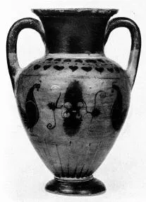 AMPHORA, NECK (CHALCIDIAN, BLACK-FIGURE)