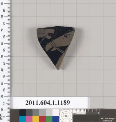 Terracotta fragment of a kylix (drinking cup)