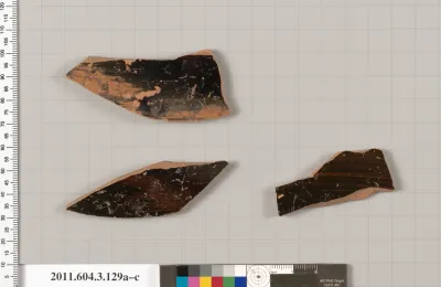 Terracotta fragments of amphorae (jars)