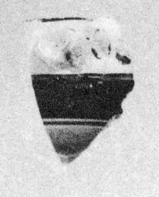 SKYPHOS, FRAGMENT (CORINTHIAN)
