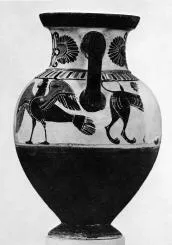 AMPHORA, NECK (ATHENIAN, BLACK-FIGURE)