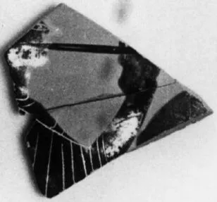 SKYPHOS, FRAGMENT (ATHENIAN, BLACK-FIGURE)
